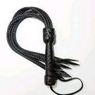 whip for role-playing games