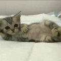 LuvkyLicky