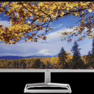 Monitor HP M27f FHD de 27"