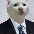 trulalaaa_