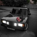 apelcin-555