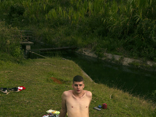 fish in the water