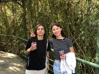 🤎🤎walk