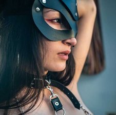 tayylordream