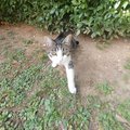 gabboooe00