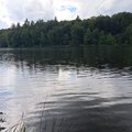 Tajemniczy821