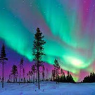 DISCOVER THE NORTHERN LIGHTS