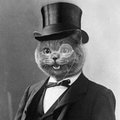 HornyGato