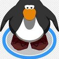 MrLiam1