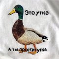 DARIYA18