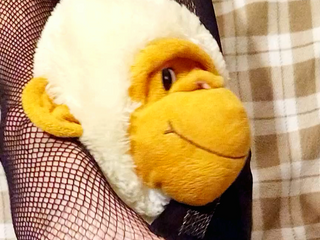 For fans of my legs and Mr. Funny.