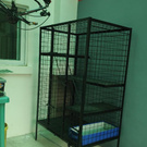 BIG  CAGES FOR MY CATS AND DOGS