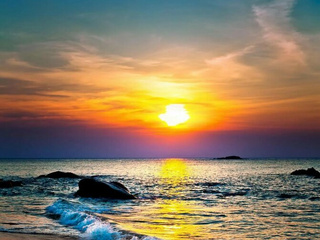 My Photos