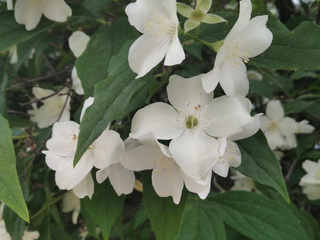 Nature photos!