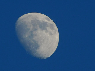 Moon ^:^