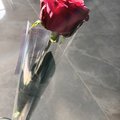 LOVE-YOU-MORE