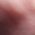 Bollt20rus