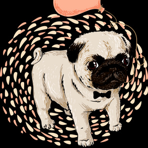 I dream of a pug ^^