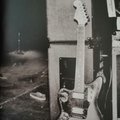 andrewwood