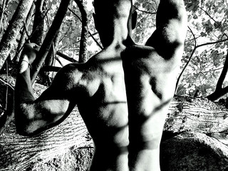 My Photos