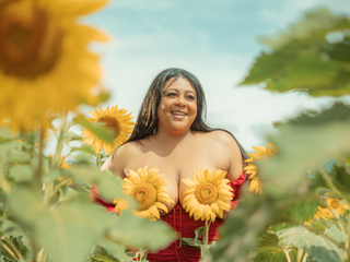 sunflower field