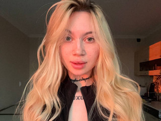 hello bitches