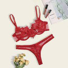 My dream is red lingerie