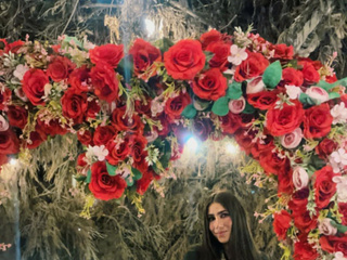 🌻Flowers🌸
