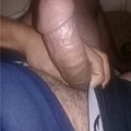 Aljaree1