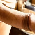 Frenchlittletoy68