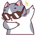 CoolCat96