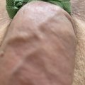 pstrost