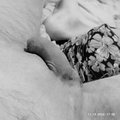 demirose43