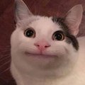 Keksofff