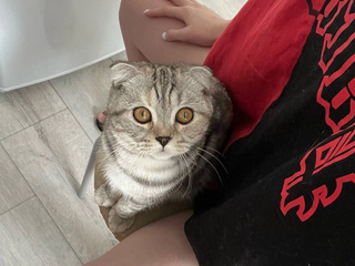 ^--^