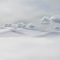 WhiteSilence