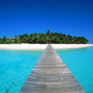 Vacation 500,000 Tokens