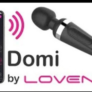 toy domi