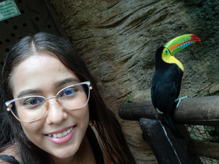 🦜❤☘