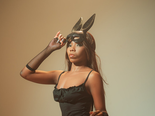 sexy bunny