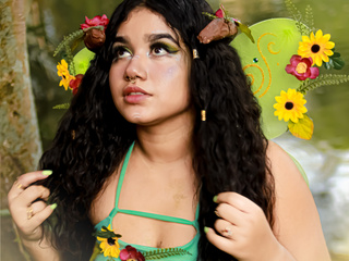 the fairy of your dreams