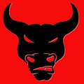 NightBull