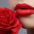 Red-Rose-777