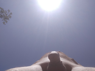 Sunny day