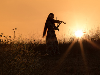 My Photos