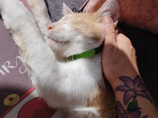 My beautiful love