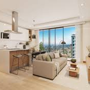 My own apartment is my big wish