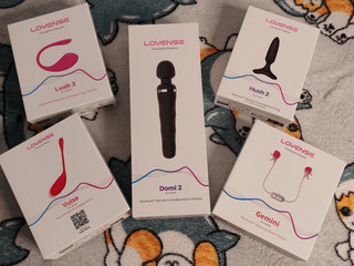 Lovense toys collection