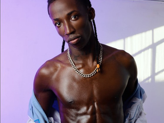 Your ebony stallion