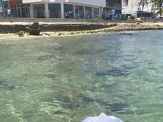 vacaciones